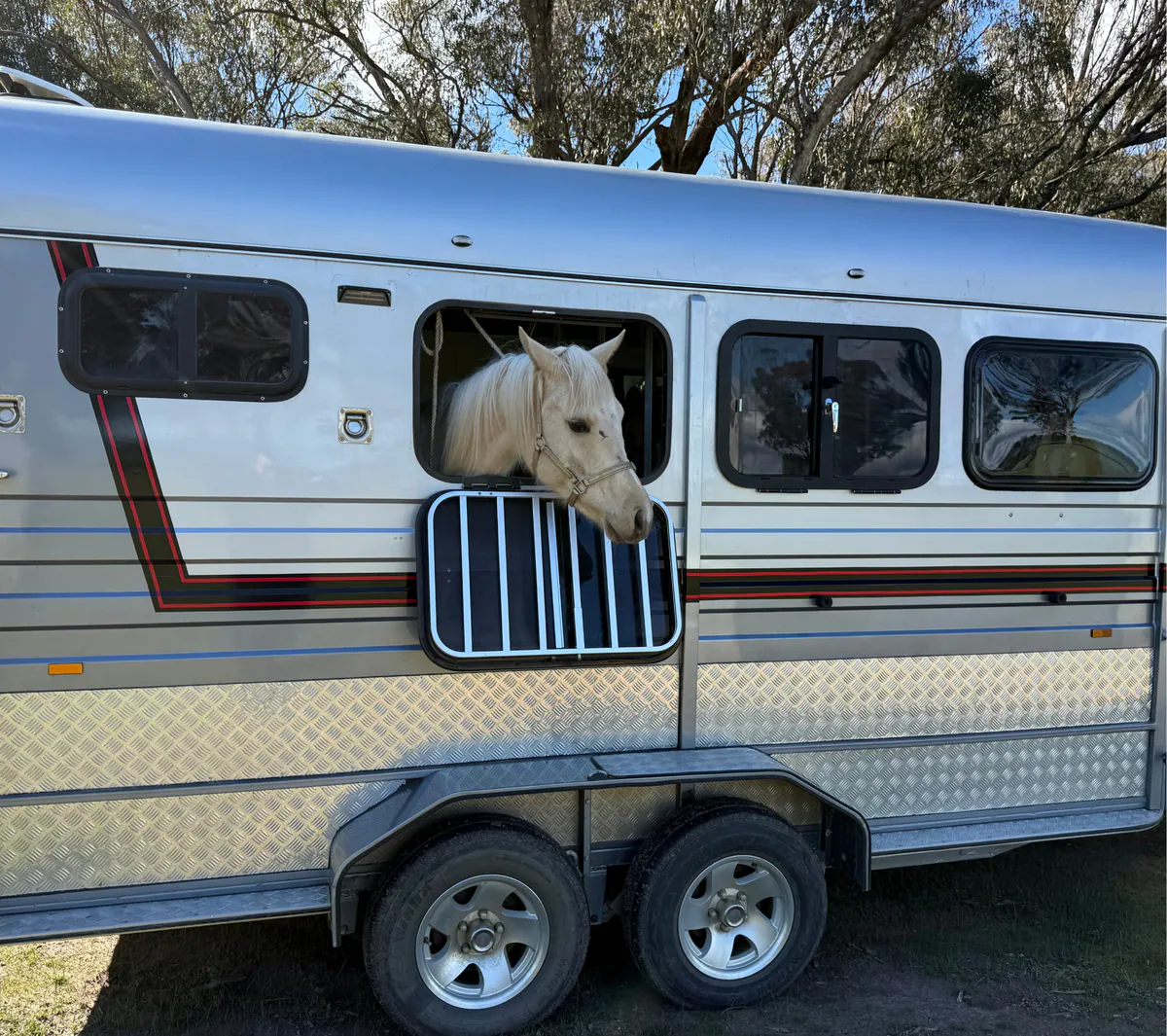 Horse Transport